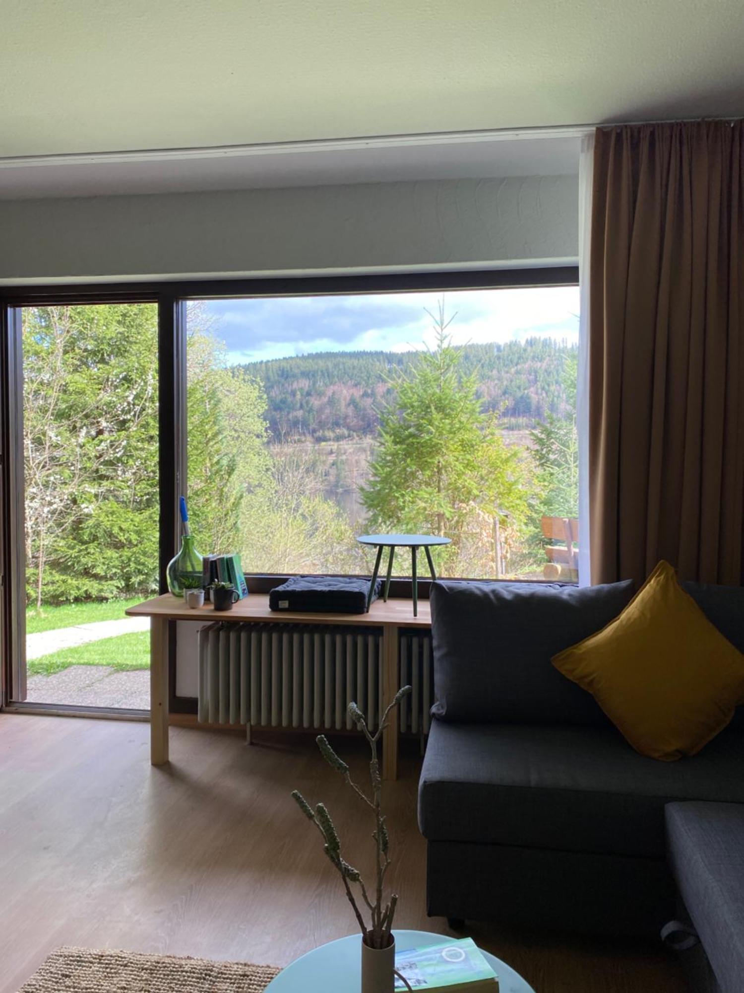 Black Forest Apartments Titisee Exterior photo